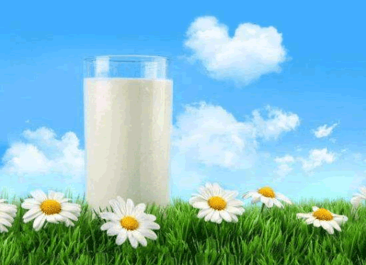 有機(jī)奶