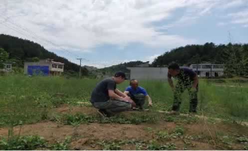 有機種植專業檢查員的工作
